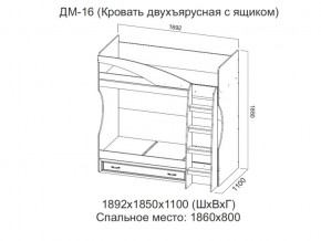 ДМ-16 Кровать двухъярусная с ящиком в Верхнеуральске - verhneuralsk.magazin-mebel74.ru | фото