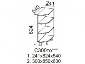 С300то Стол-рабочий 300 (торцевой открытый) в Верхнеуральске - verhneuralsk.magazin-mebel74.ru | фото