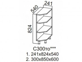 С300то Стол рабочий 300 (торцевой открытый) в Верхнеуральске - verhneuralsk.magazin-mebel74.ru | фото