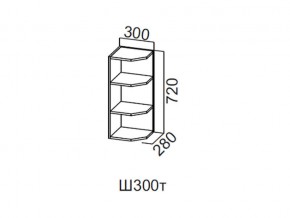 Ш300т/720 Шкаф навесной 300/720 (торцевой) в Верхнеуральске - verhneuralsk.magazin-mebel74.ru | фото