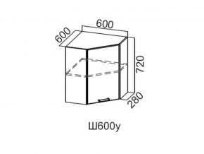 Ш600у/720 Шкаф навесной 600/720 (угловой) в Верхнеуральске - verhneuralsk.magazin-mebel74.ru | фото