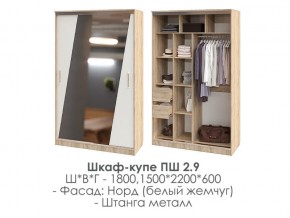 шкаф-купе ПШ-2.9 1500 Норд Белый жемчуг 1500 в Верхнеуральске - verhneuralsk.magazin-mebel74.ru | фото