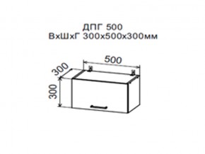 Шкаф верхний ДПГ500 горизонтальный в Верхнеуральске - verhneuralsk.magazin-mebel74.ru | фото