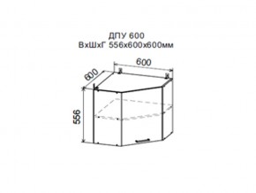 Шкаф верхний ДПУ600 угловой в Верхнеуральске - verhneuralsk.magazin-mebel74.ru | фото
